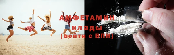 индика Арсеньев