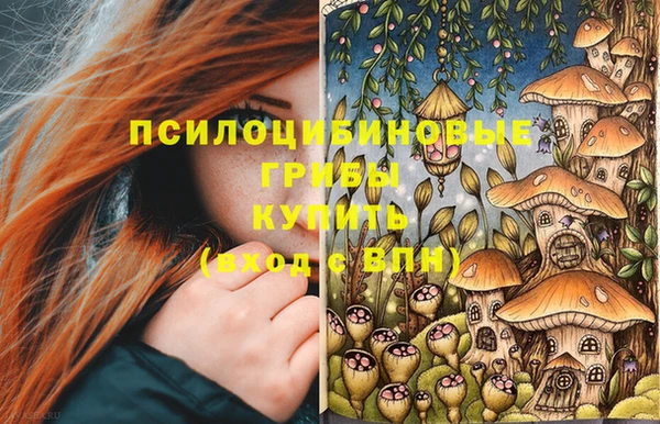 спиды Алзамай