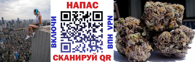 Марихуана индика  дарнет шоп  Новоузенск 